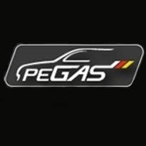 Pegas mobile und Handels GmbH
